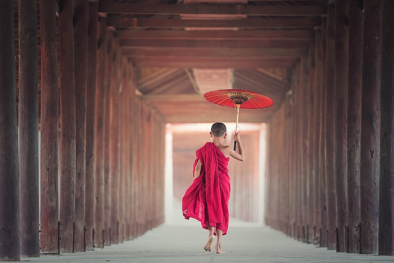 Sun Style Tai Chi